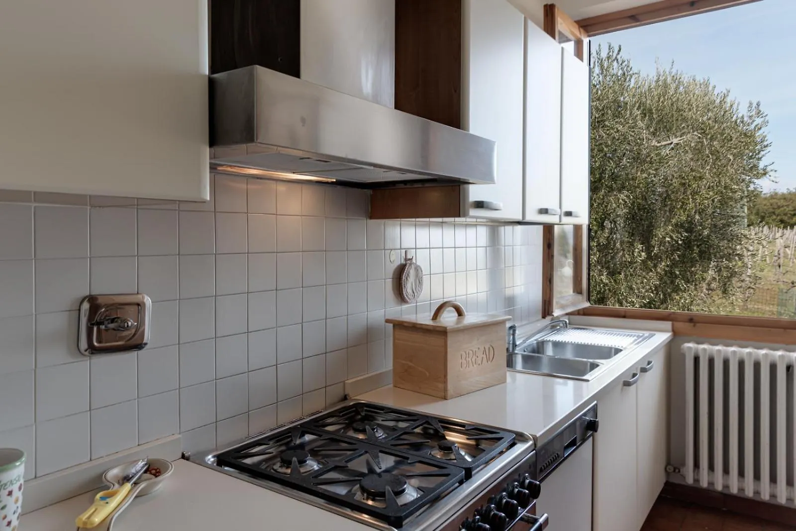 Fattoria I Tribbi Apartment Ambra
