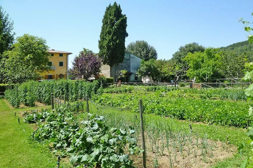 Fattoria I Tribbi Apartment Ambra Italy
